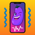 Vibrator Max