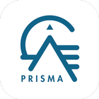 PRISMA 아이콘