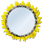 ikon Cermin & Selfie - Cahaya, Zoom