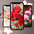 Red and colorful wallpapers 4K