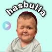 Hasbulla Stickers