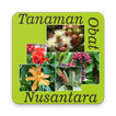 Tanaman Obat Nusantara