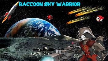 Raccoon Sky Warrior Cartaz