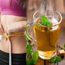 Tea for Weight Loss Diet Plan APK