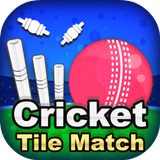 ikon Cricket Tile Match - Free Game