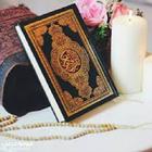 المصحف المجود The Quran icône