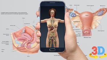 Human 3D Anatomy screenshot 3