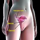 Female Impotence APK