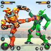 Kung Fu Karate Robot Fighting