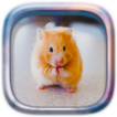 Picture Puzzle: Hamsters