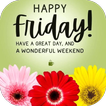 ”Happy Friday