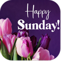 happy sunday