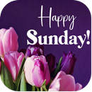 happy sunday APK