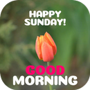 happy sunday good morning APK