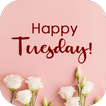 Happy Tuesday