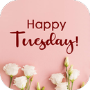 Happy Tuesday APK