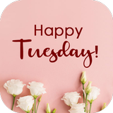 Happy Tuesday 圖標