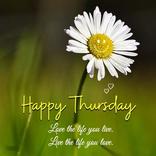 Happy Thursday Wishes