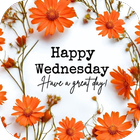 Happy Wednesday ไอคอน