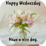 happy wednesday images icon