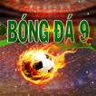 Bong Da 9