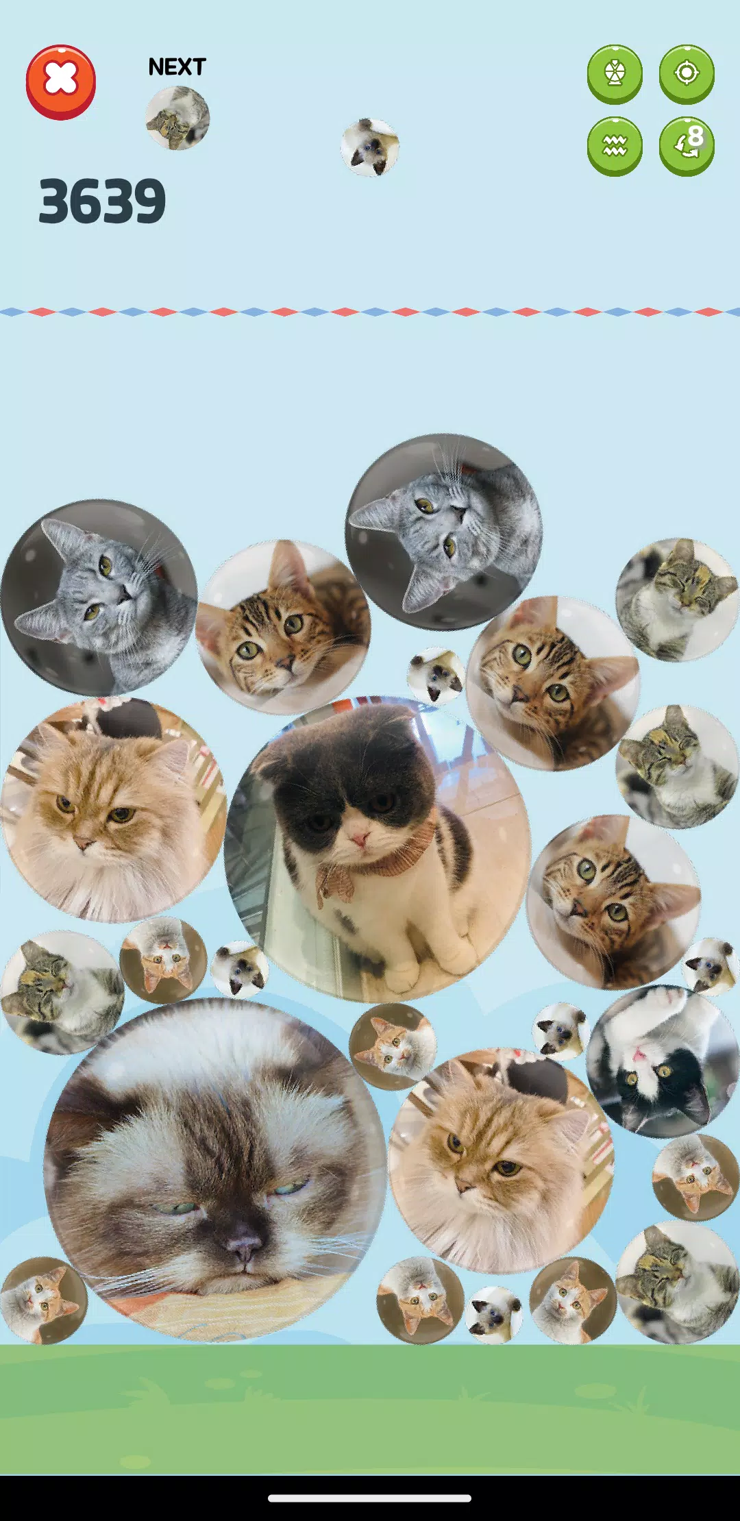 合成大泡泡-数以万计的定制