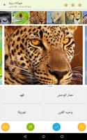 صور مسابقة تصوير الشاشة 2