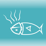 Ryba smrdí od hlavy