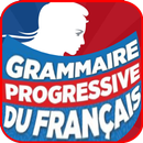 Grammaire Francais APK