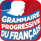 Grammaire Francais icône