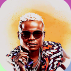 harmonize - all songs icono