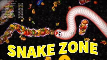 Snake Zone Poster