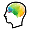 Brain trainer