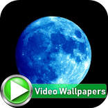 Moon Live Video Wallpapers