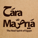 حارة مصرية APK