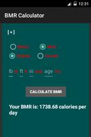 BMR Calculator Affiche