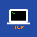 TCP Terminal APK