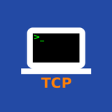 TCP Terminal icône