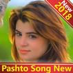 Pashto Song New 🎬