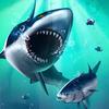 Fish Grow and Evolution icon