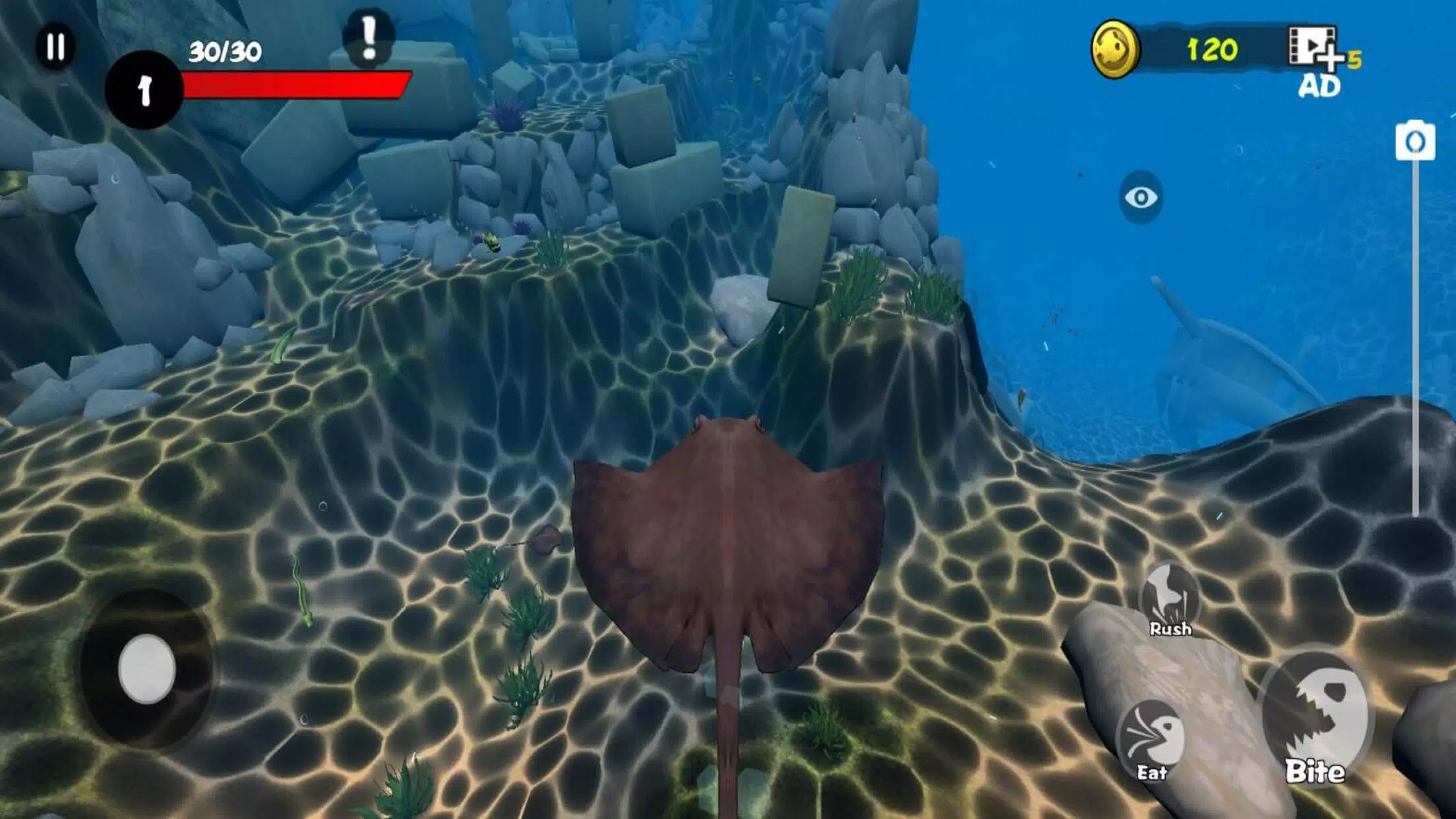 Fish Grow and Evolution APK for Android Download