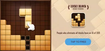 Wood block puzzle