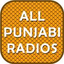 All Punjabi Radios APK