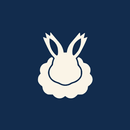 APK Angora: Storage Cleaner