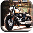 ”Harley Wallpaper 4K