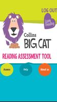 Big Cat Reading Assessment bài đăng