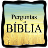 Perguntas da Bíblia-icoon