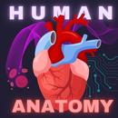 Human Anatomy E Theories-APK