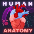 Human Anatomy E Theories أيقونة