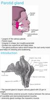 برنامه‌نما Human Anatomy E Theories عکس از صفحه